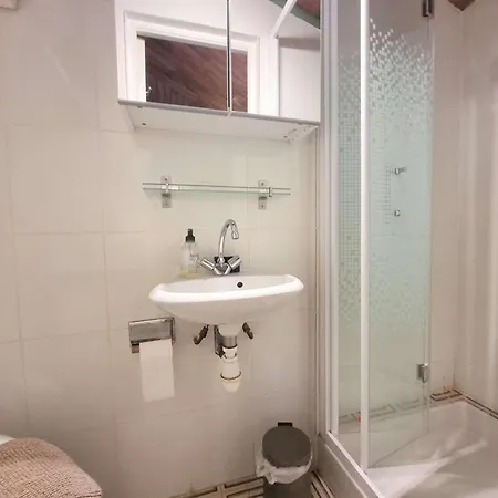 Chalet Spacieux 10 Pers, 4 Chambres, Jardin, Cheminee, Animaux Ok, Menage Fin Sejour Option - Fr-1-393-38 Saint-Michel-de-Chaillol