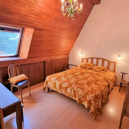 Spacieux 10 Pers, 4 Chambres, Jardin, Cheminee, Animaux Ok, Menage Fin Sejour Option - Fr-1-393-38 Chalet *